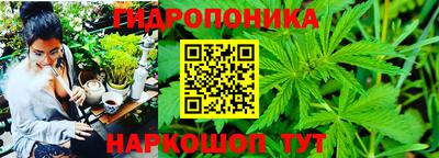 каннабис Баксан