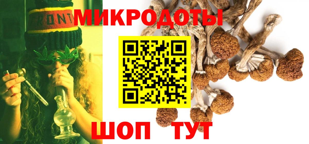 Вольск  Галлюциногенные грибы Cubensis  Вход с VPN 
